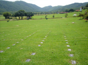 Coroa de Flores Capela Mortuária Comunitária Monteiro Lobato (Curitiba/PR)